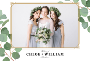 Eucalyptus Elegance Postcard